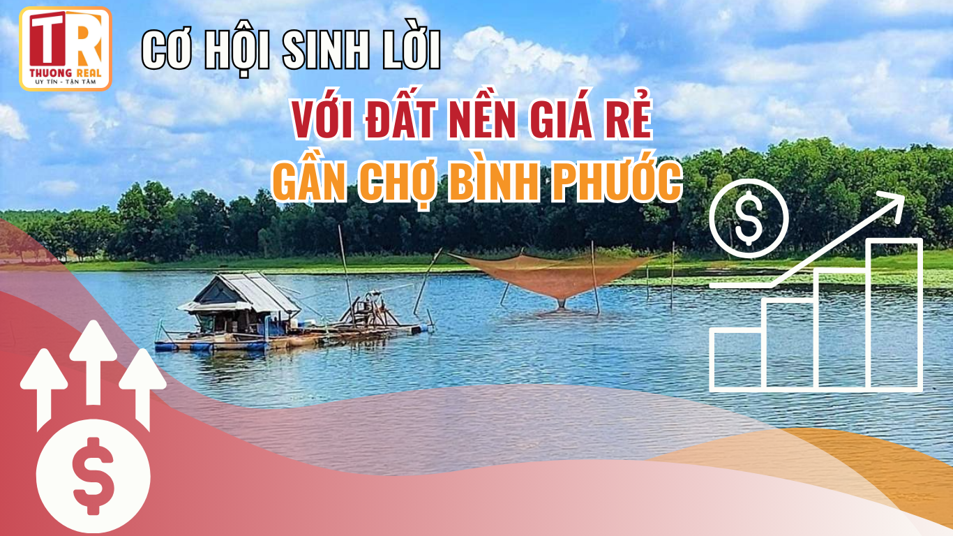 Cơ hội sinh lời với đất nền giá rẻ gần chợ Bình Phước