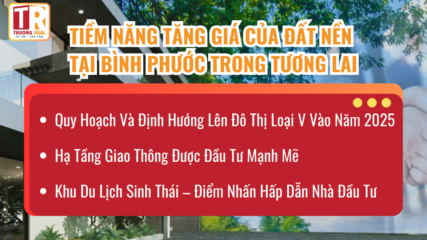 Tiềm năng tăng giá