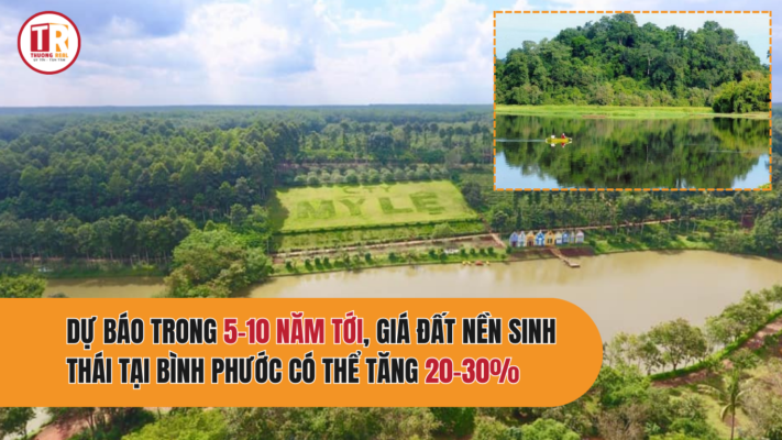 Triển vọng tăng giá trong tương lai