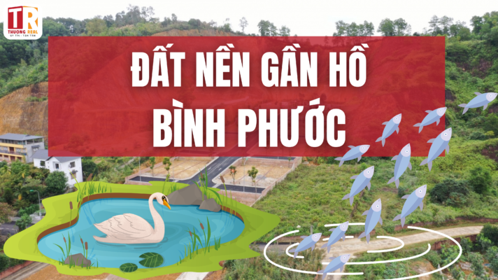 Đất nền giá rẻ gần hồ Bình Phước