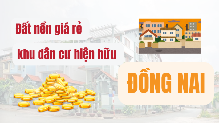 Đất nền giá rẻ khu dân cư hiện hữu Đồng Nai