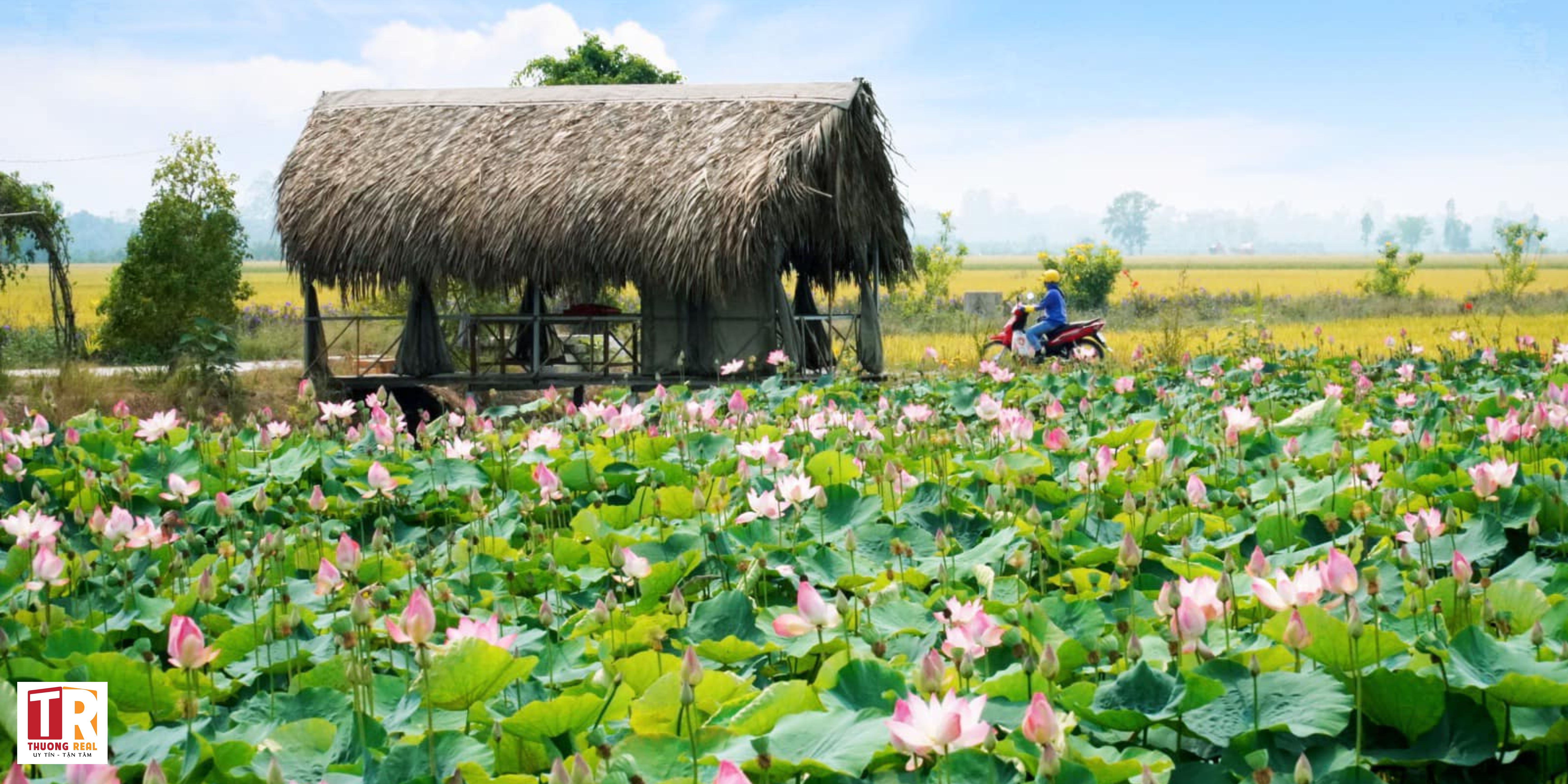 Đất Nền Giá Rẻ Khu Du Lịch Sinh Thái Long An