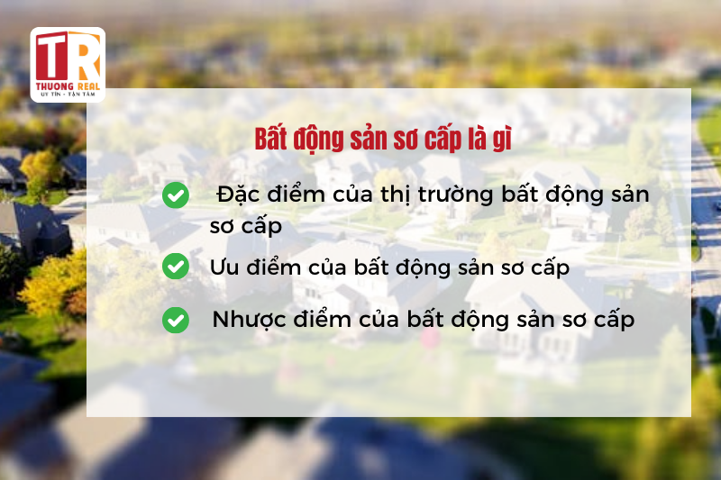 Bất động sản sơ cấp là gì 